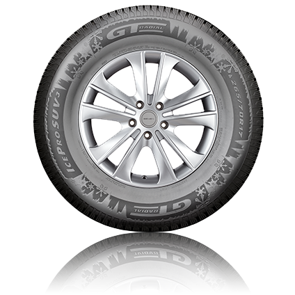 Winter Tires GT Radial –