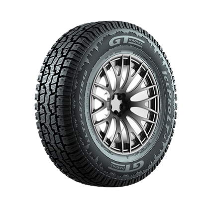 Winter GT Tires Radial –